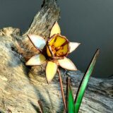 Daffodils